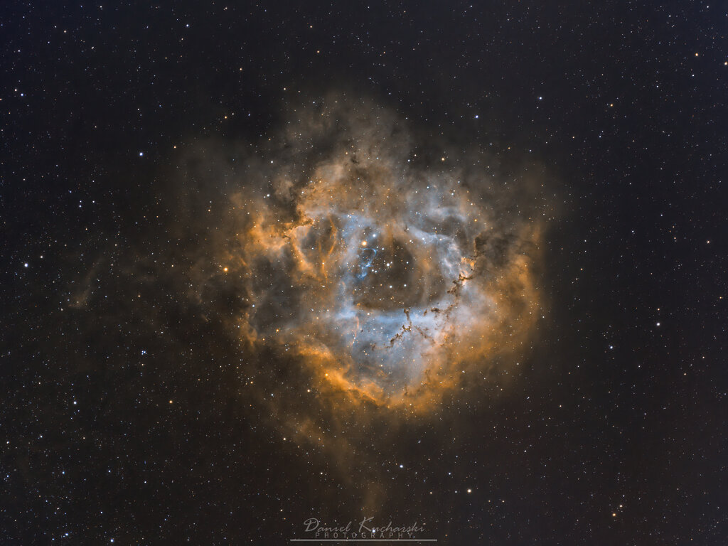The Rosette-Nebula 